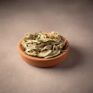 اعشاب الحرجل